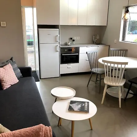 Adorable One Bedroom Apartment With Free Parking. Reykjavík Buitenkant foto
