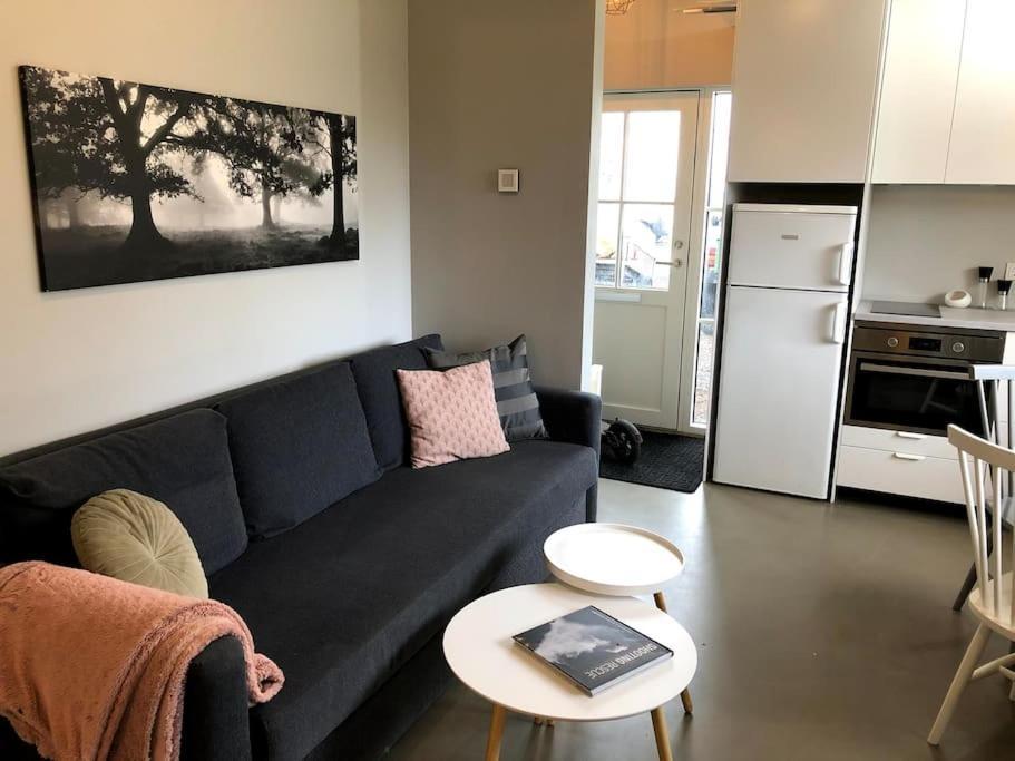 Apartment Adorable One Bedroom With Free Parking. Reykjavík